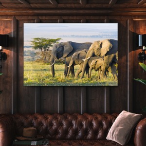 초원 코끼리 가족